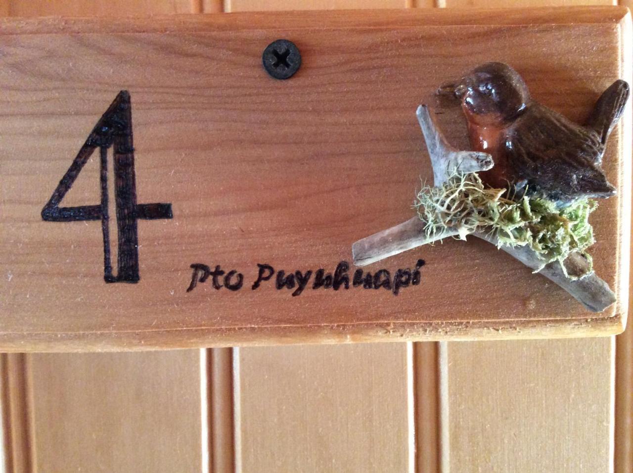 Los Mañíos Del Queulat Puyuhuapi Exterior foto